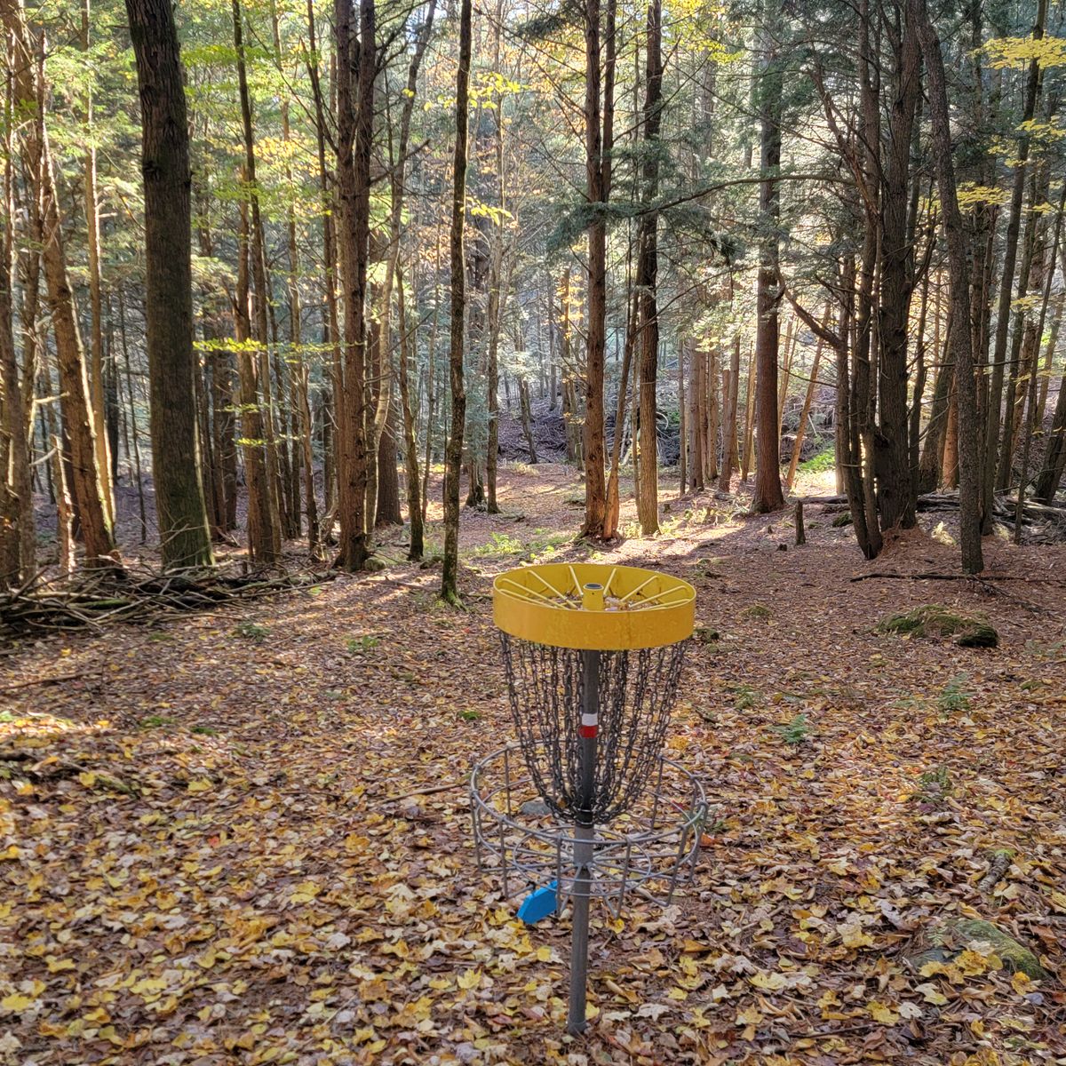 2 toward teebox (zoomed)
