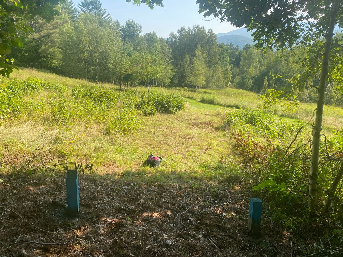 Hole 15 Tee Box