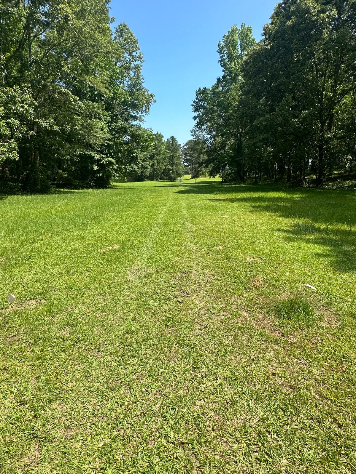 Short tee still a island green