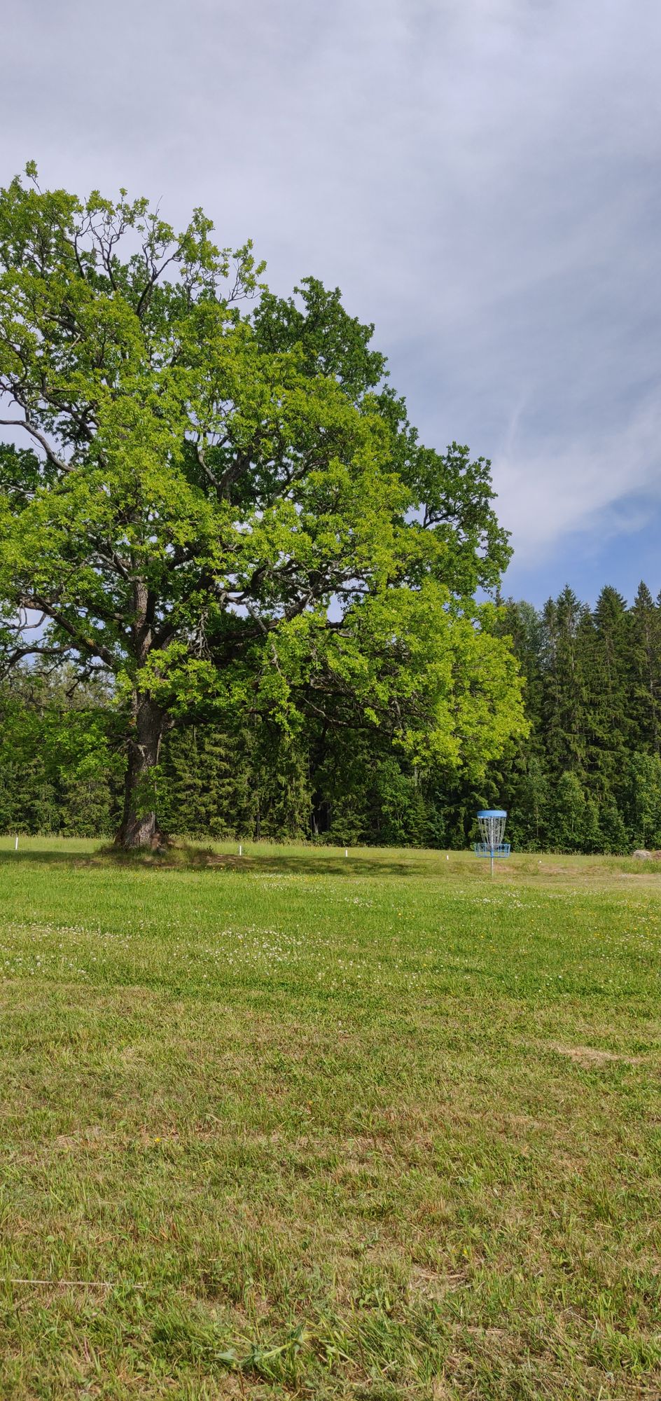 Green on hole 14, "The oak"
