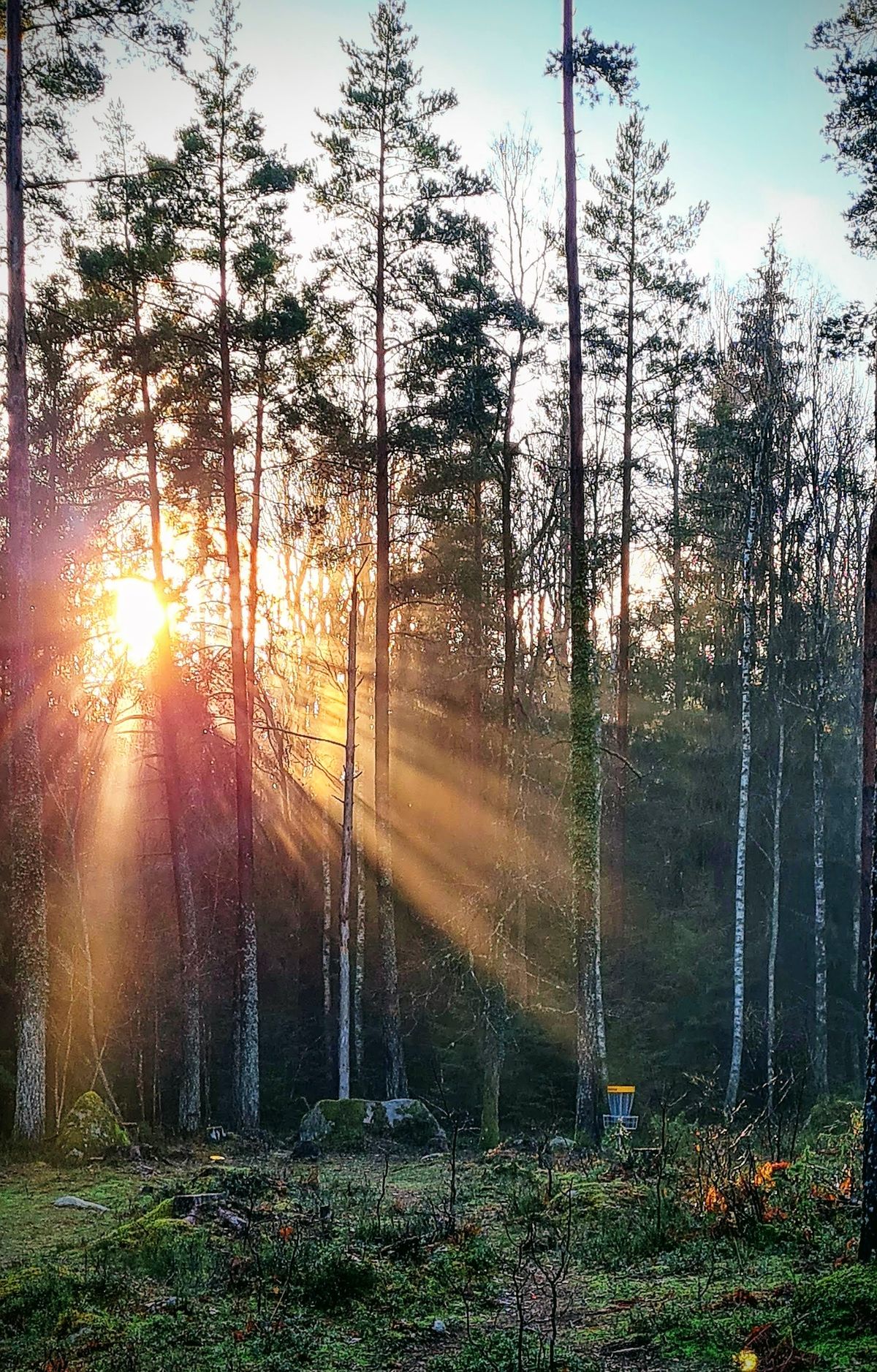Hål 13