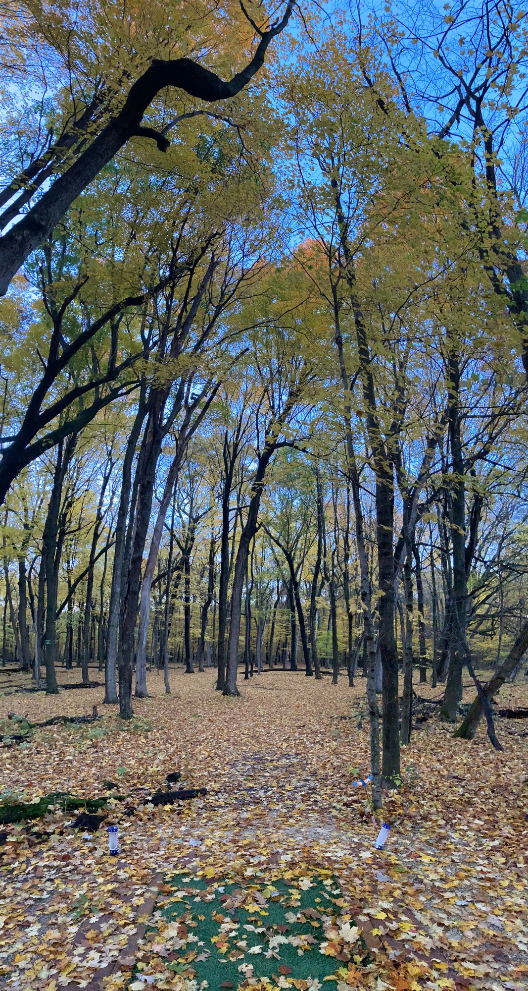 Autumn takeover