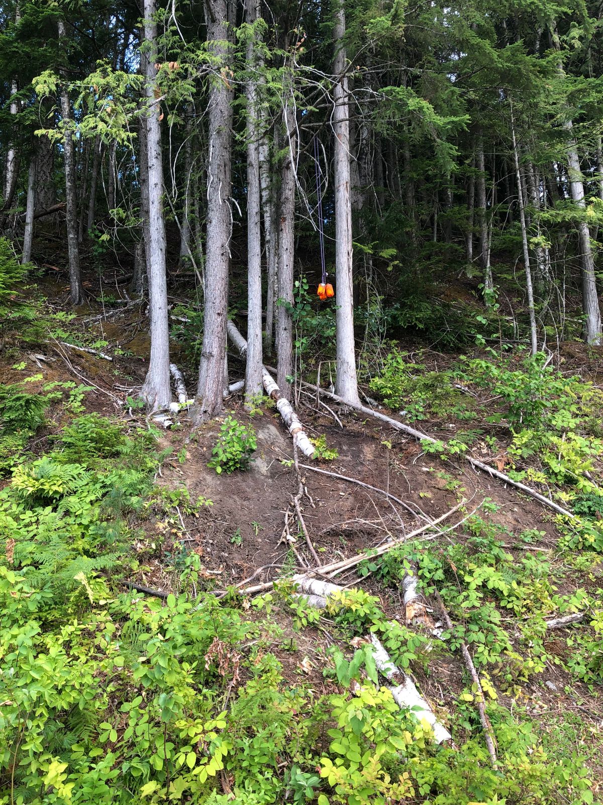 Hole 11 object. Tough putting