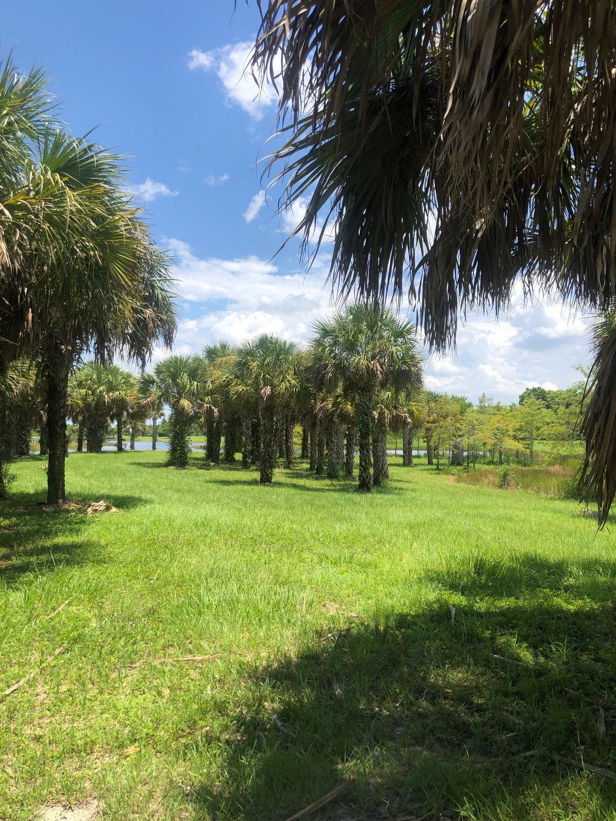 Hole 13