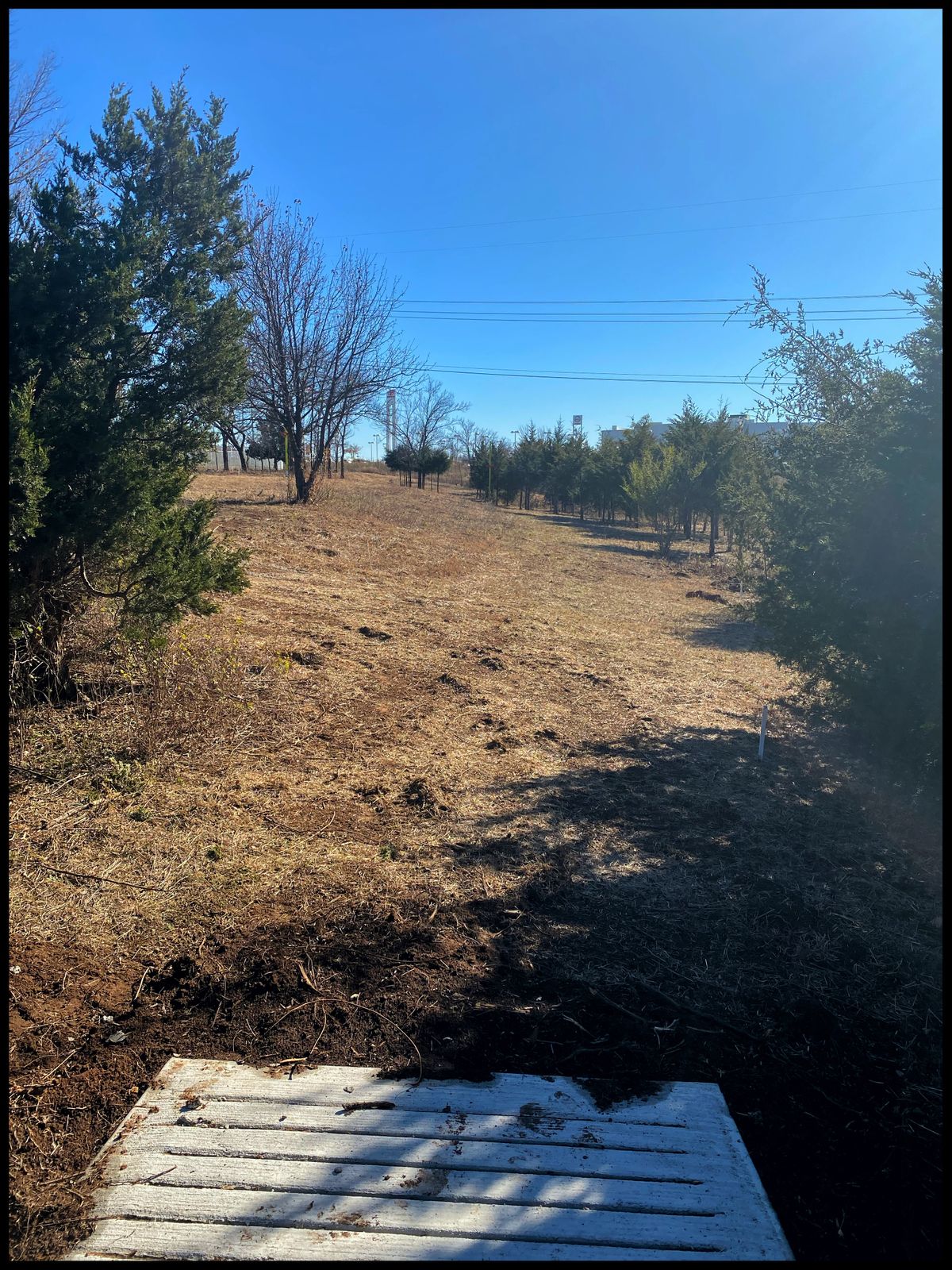 #18 fore tee throwing southeast- there’s a 2X mando out the about half way to basket