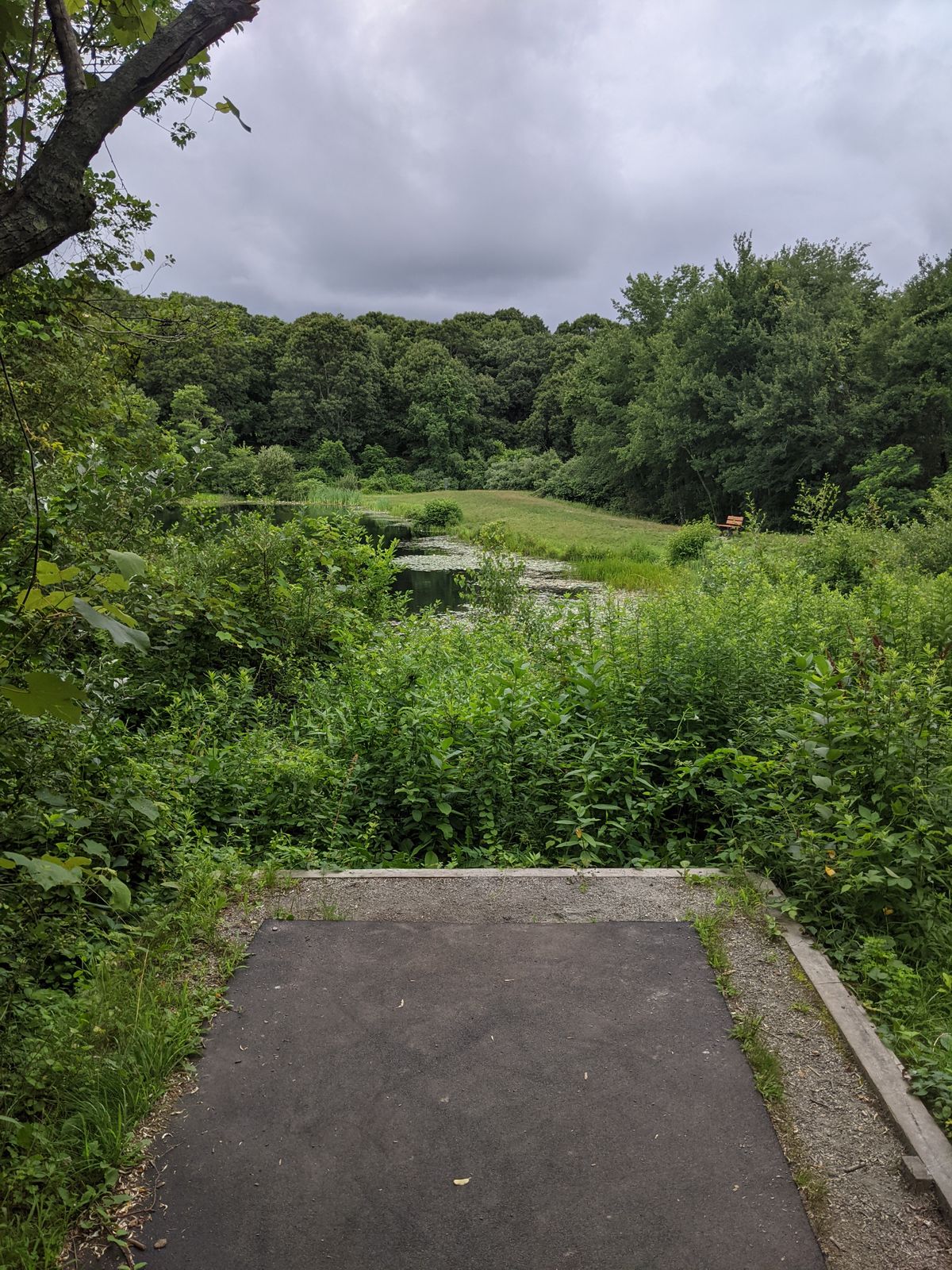 Water hazard