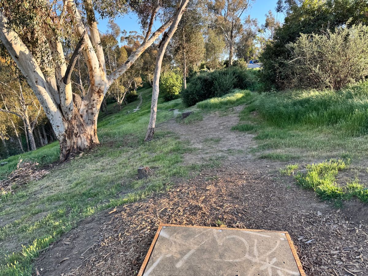 9 tee box