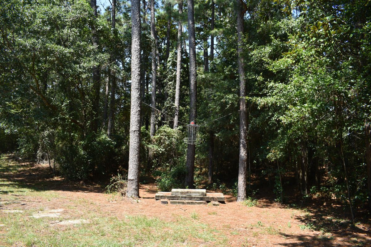 Hole 16’s Basket