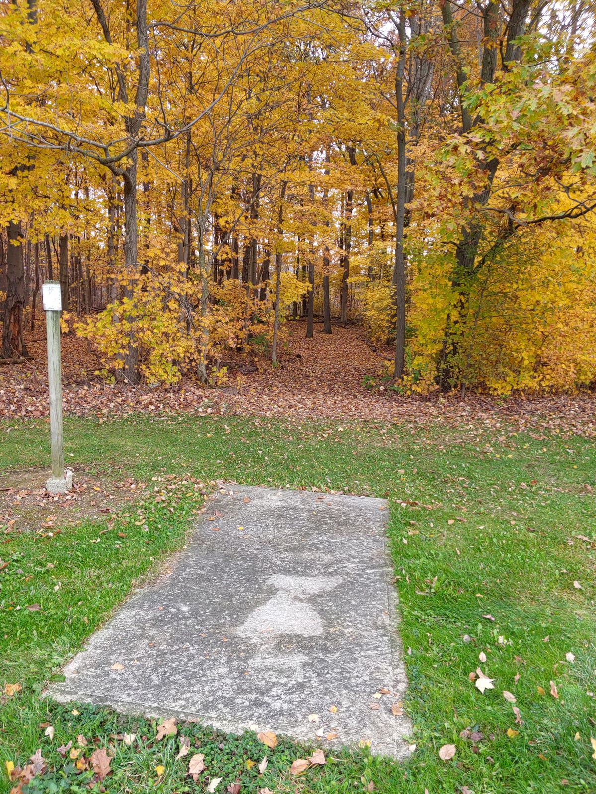 Hole 2 tee