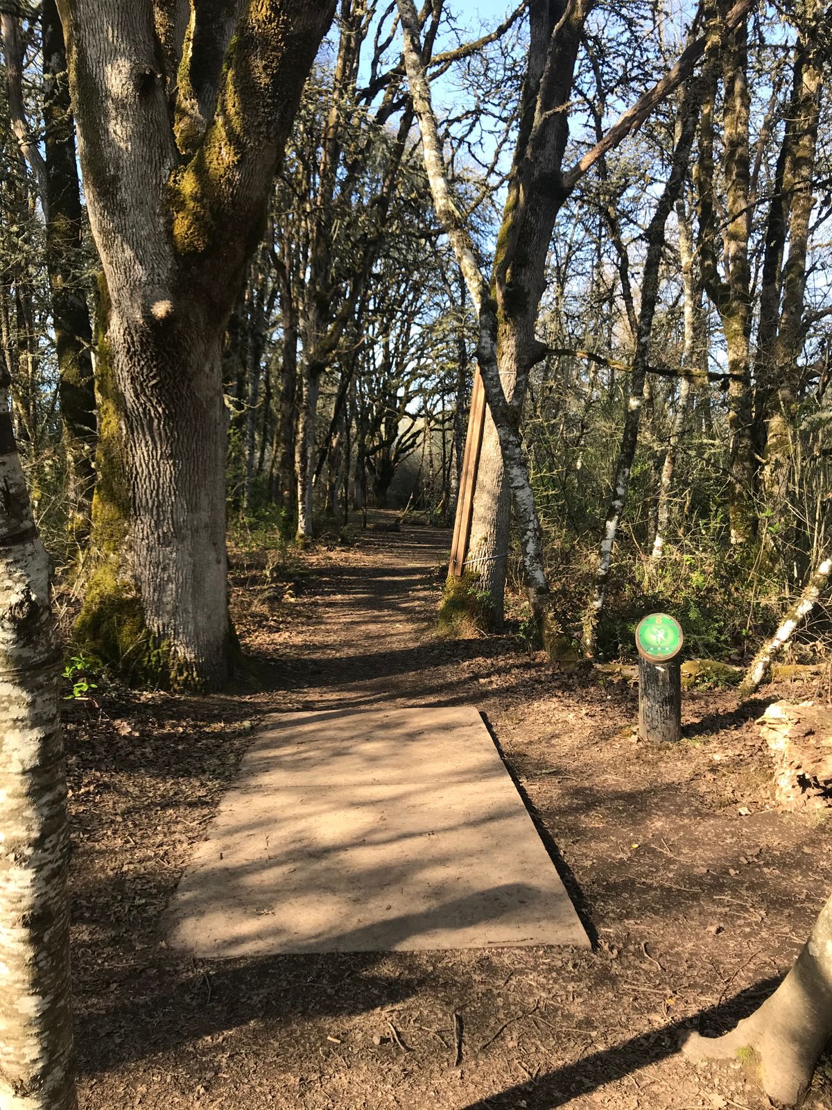 View from Hole 8