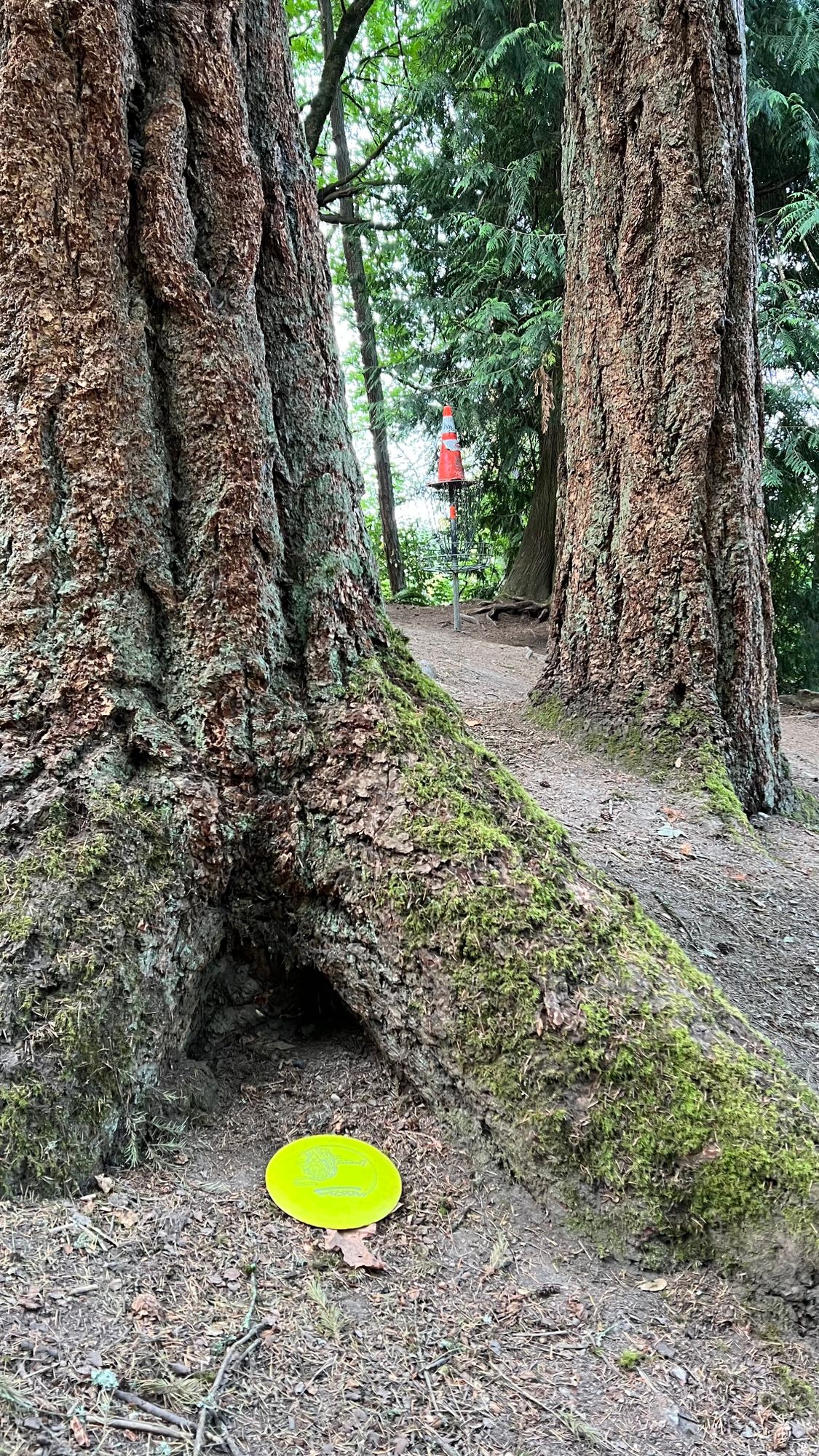 Hole 5
