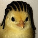 User avatar image
