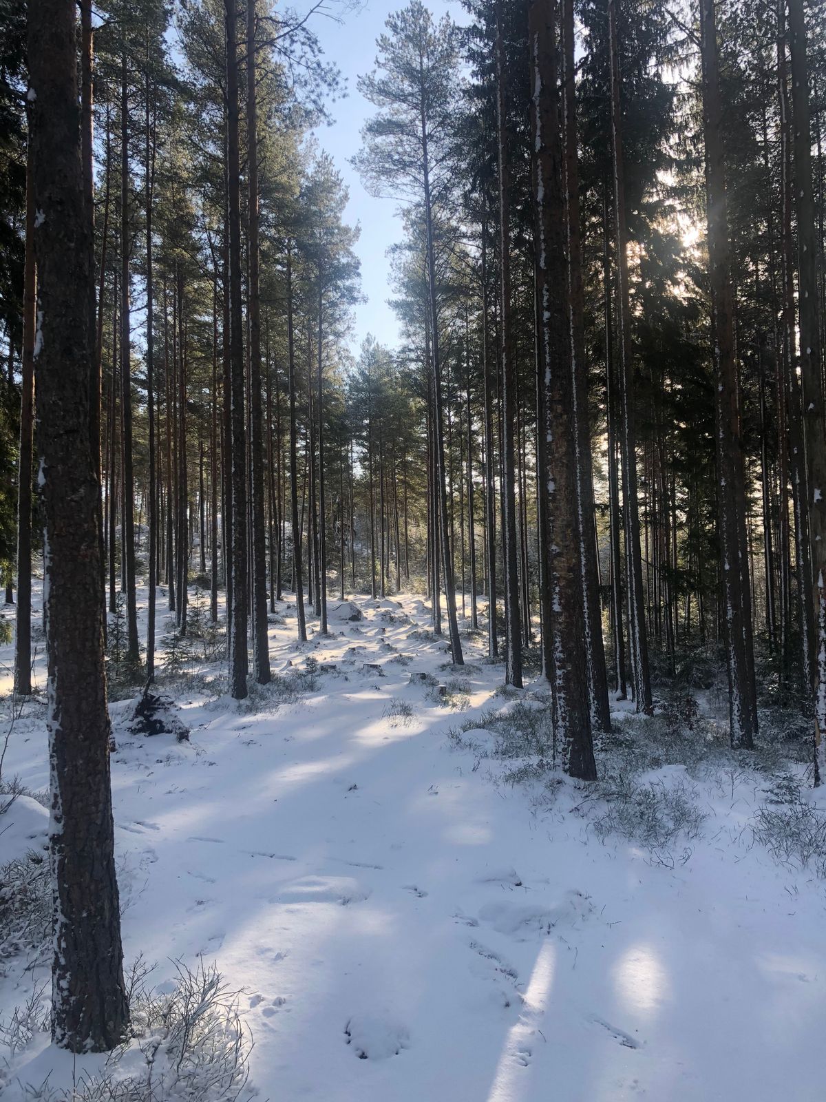 4. Väylä 14.3.2020