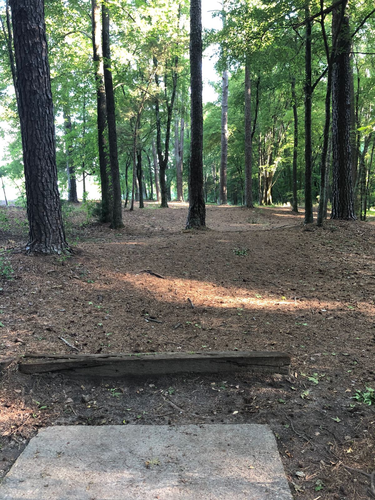 Hole 6 tee.