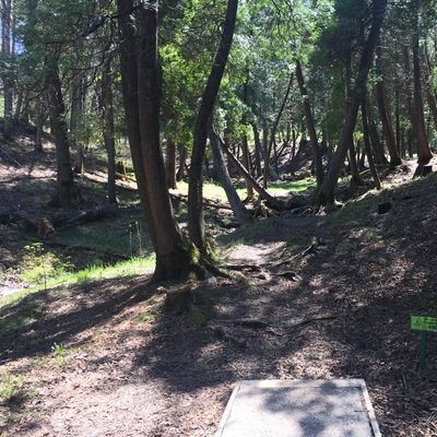 Hole 10 tee ‘The Shire Hole’