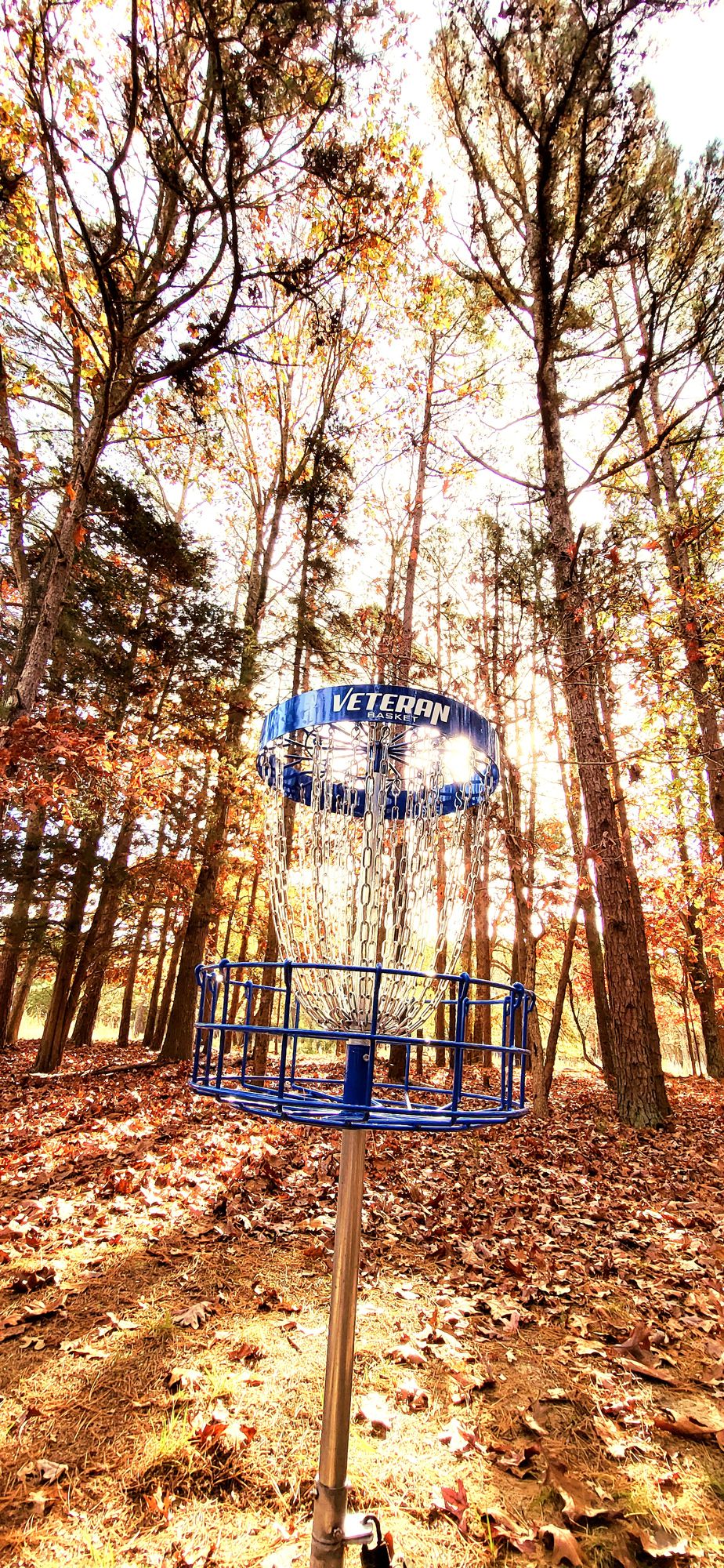 Hole 10 Basket 