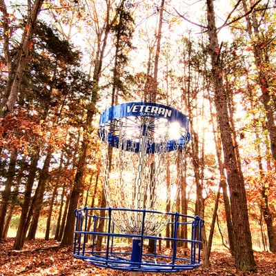 Hole 10 Basket 