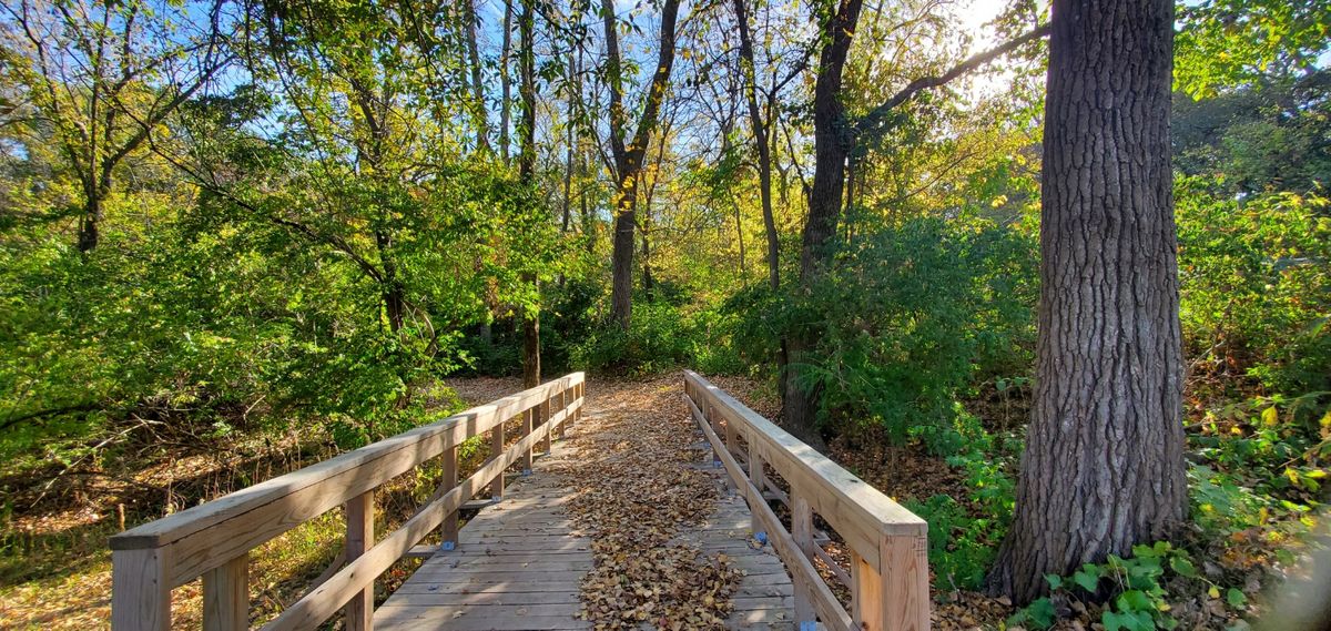 Bridge between 15 & 16