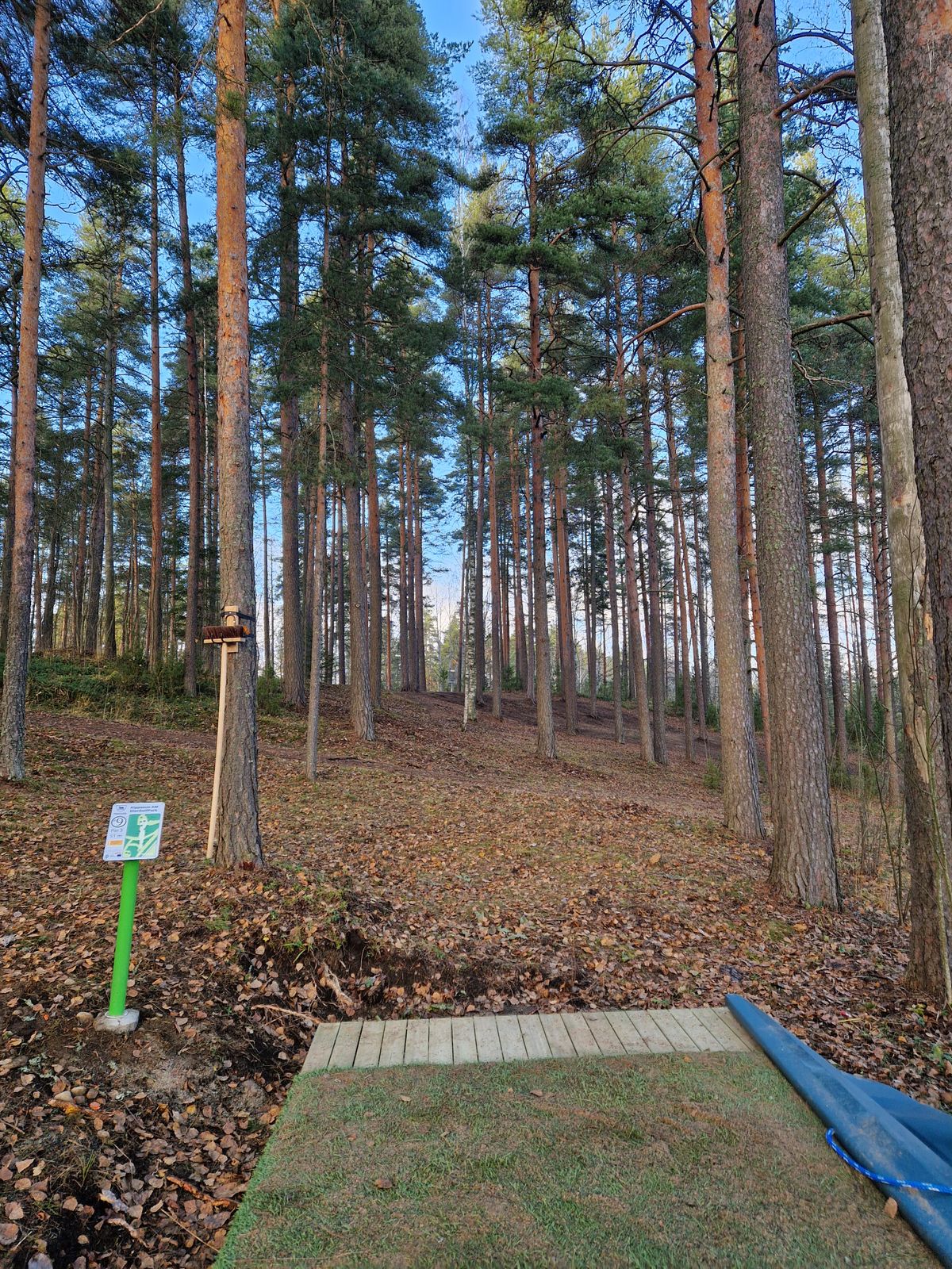 Am tee 9