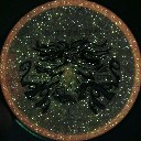 User avatar image