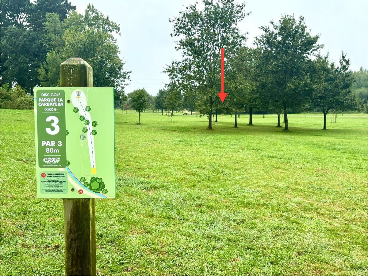 #3 / basket location (arrow)