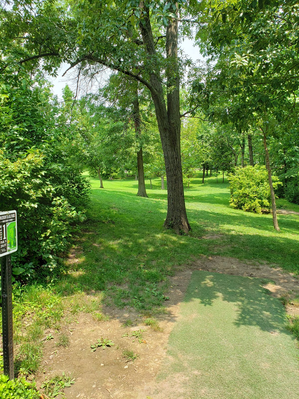 #1 Tee-Pad and Fairway