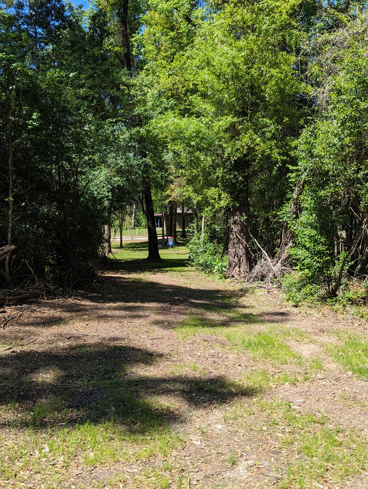 Hole 7 Veteran Pin Location