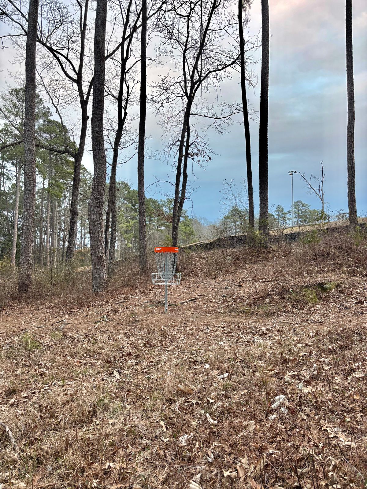 Hole 13 Basket