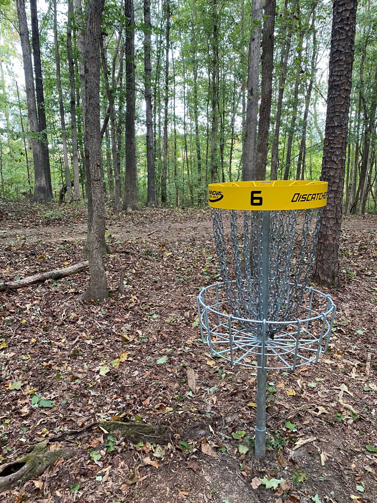 Hole 6 Basket
