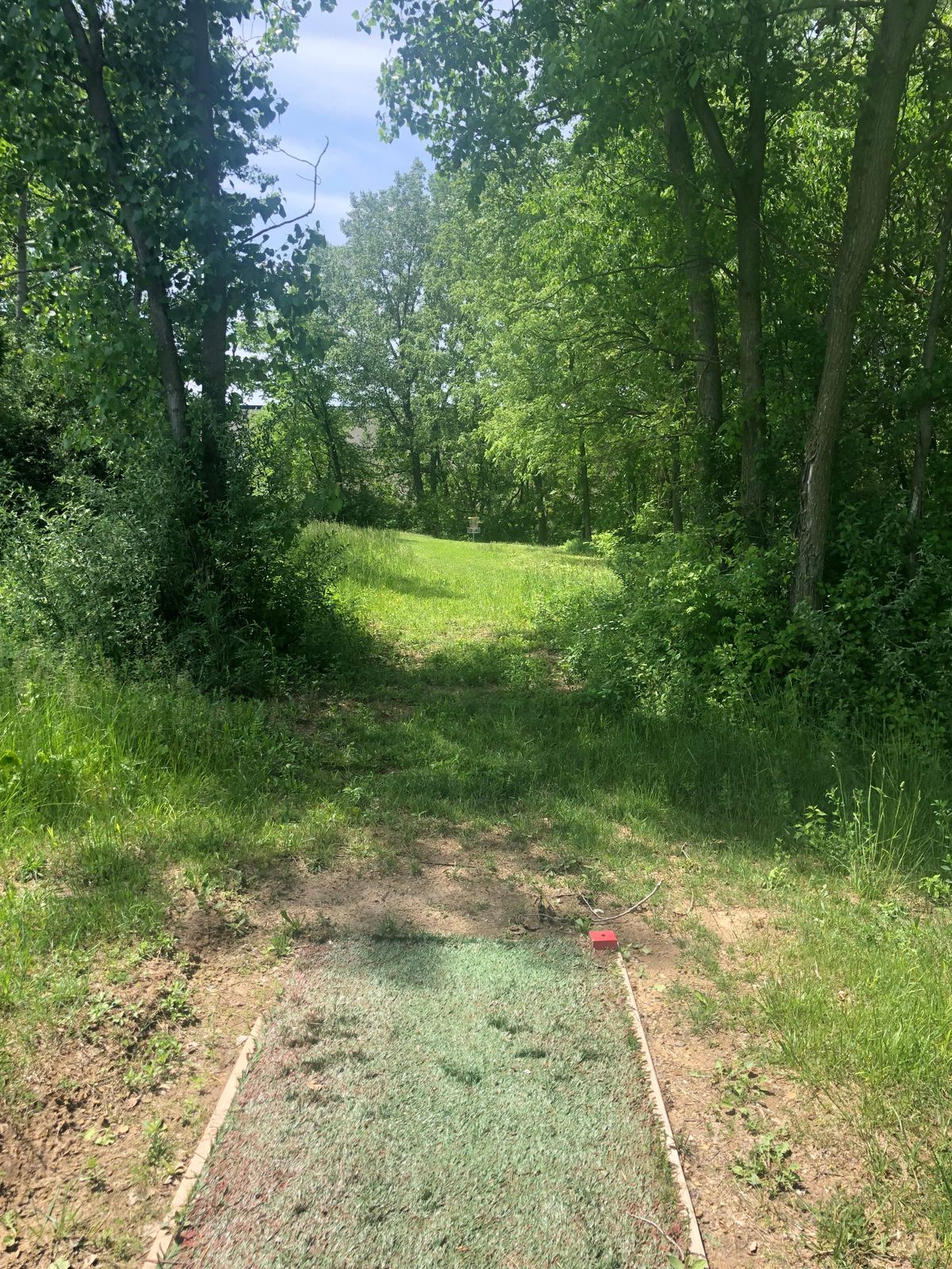 Hole 7 red tee