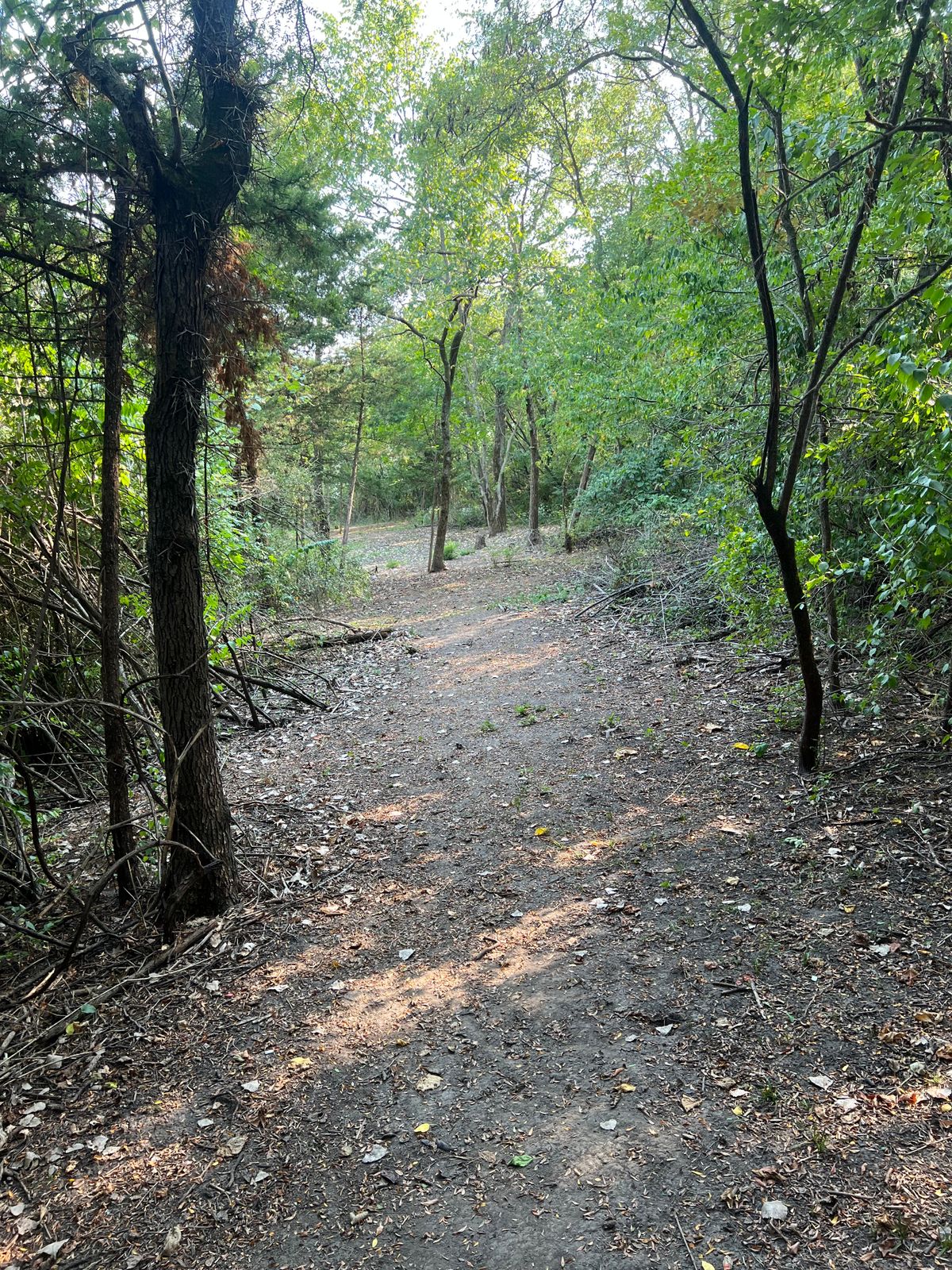 Hole 4 from the tee pad.