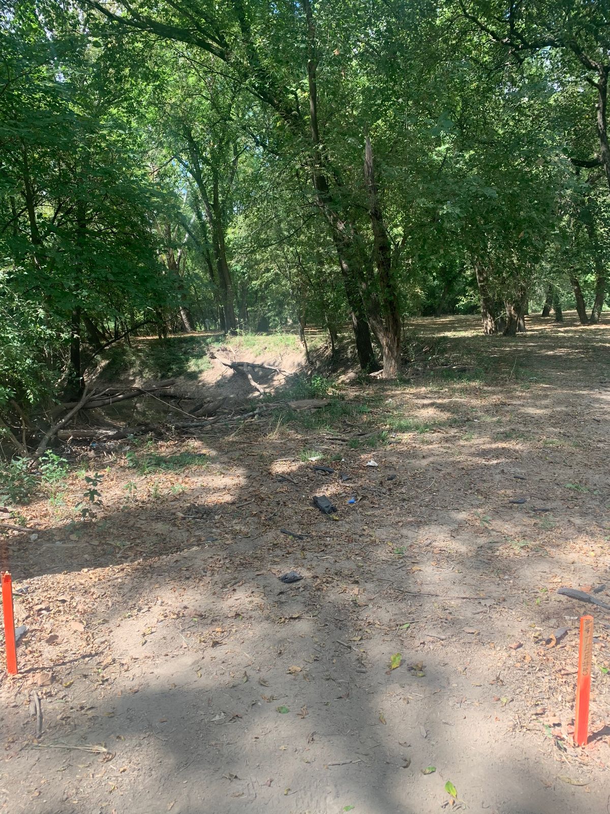 Hole #5 tee