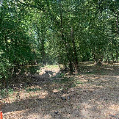 Hole #5 tee