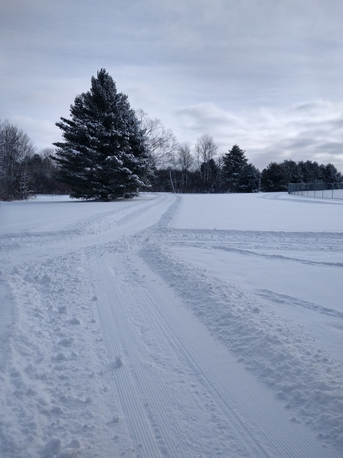 Groomed trails on each hole