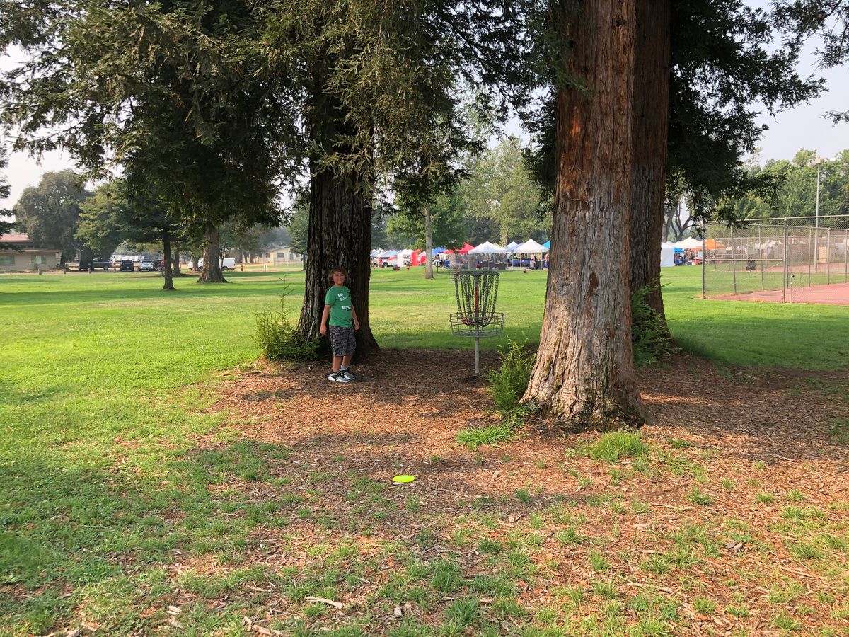 Hole 2 hole is hidden in the tree cluster