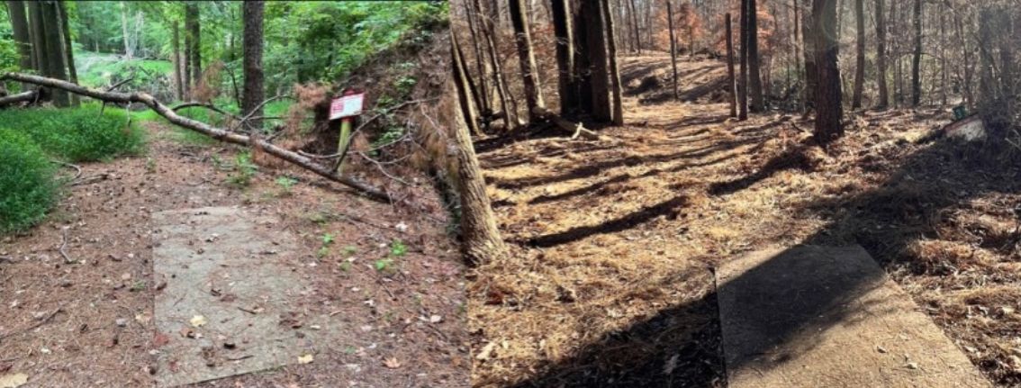 Before and after clean up. From the tee looking towards basket.