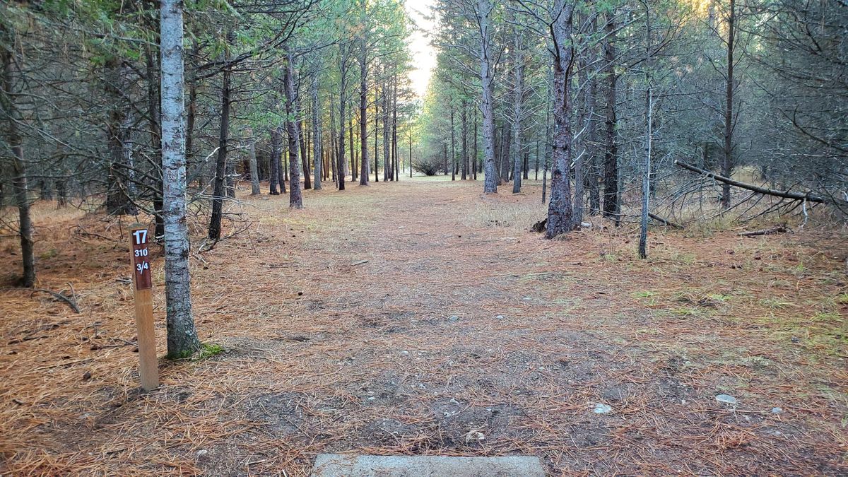 Tee pad hole 17