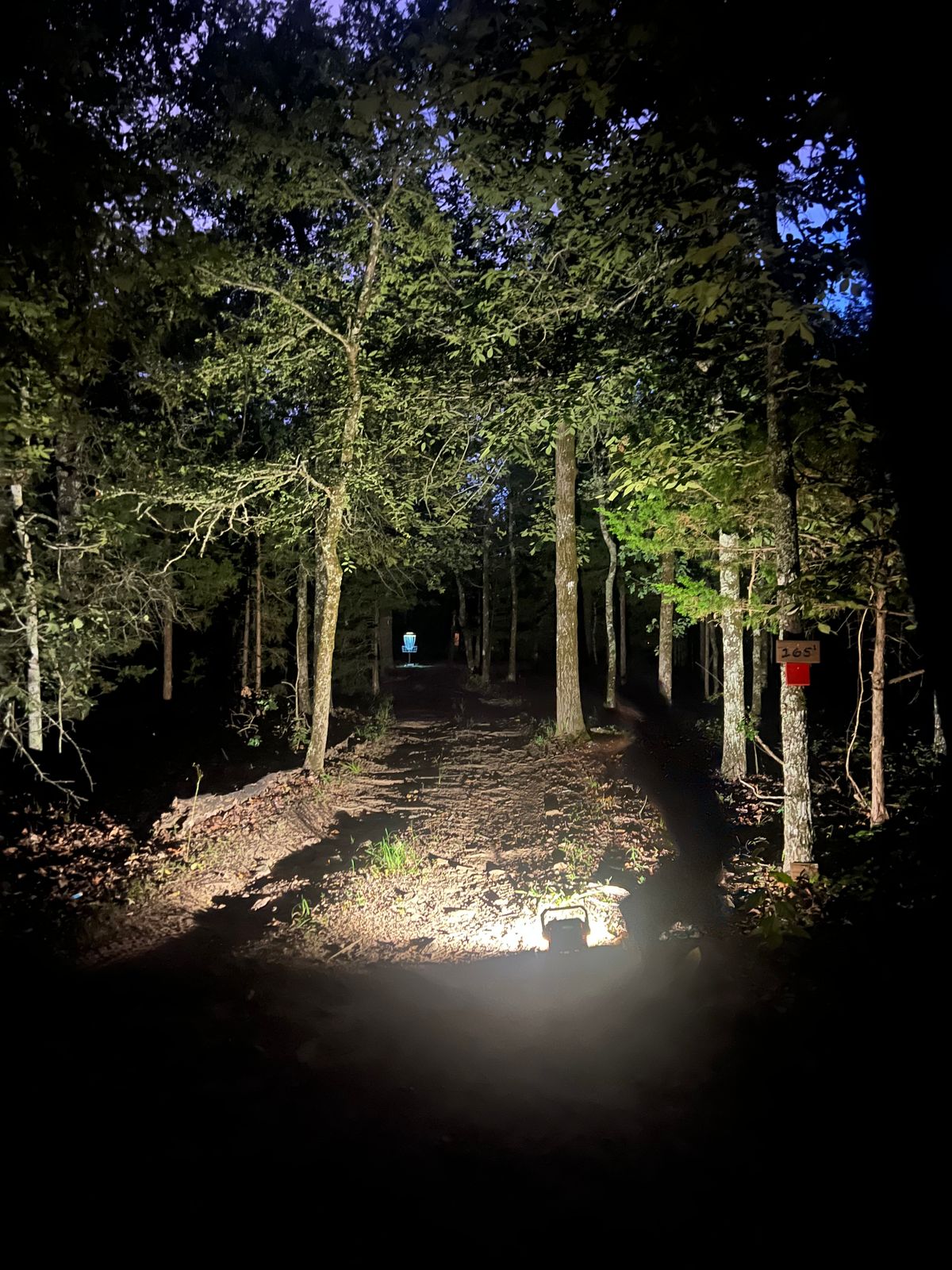 Night golf
Hole 6