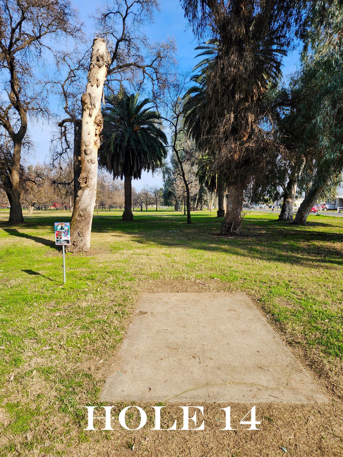 Hole 14