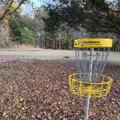 Hole 15 basket