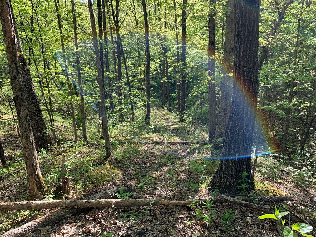 Hole 7  
Play down the atv trail, basket in creek bottom. 
O.B. along fence line on left.