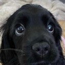 User avatar image