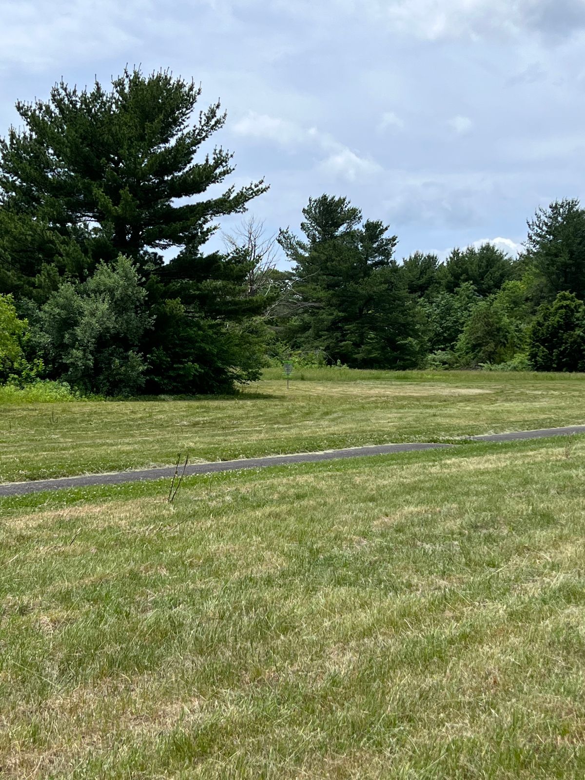 Hole 12 basket; wood line to the left is OB and will be marked eventually