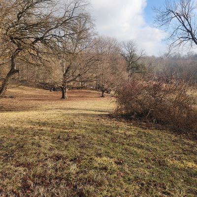 Hole 14 - basket just to left of big tree on right. Careful on upshot or putt as there is a huge downhill roll away on right side of basket.