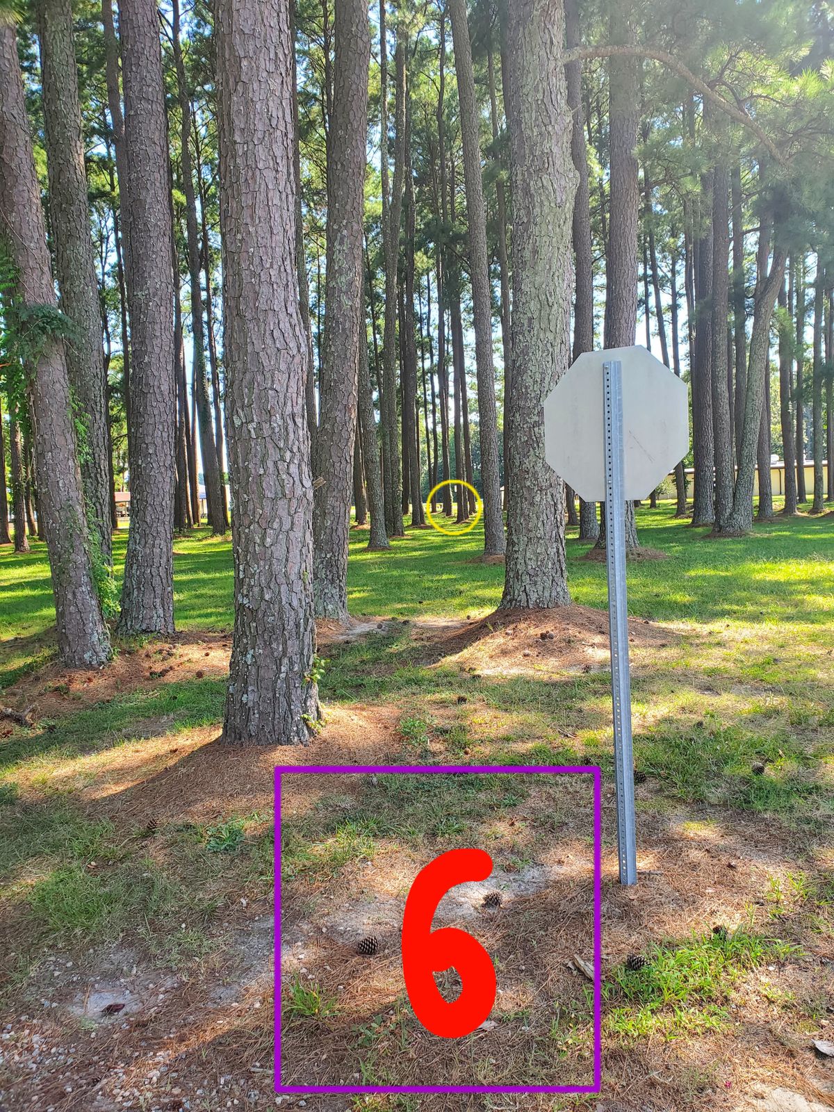 Hole 6
Shoot from the stop sign basket is in opposite corner near bus stop