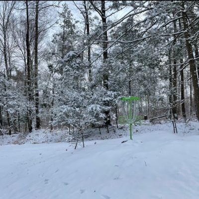 Hole 8 (aka helping hands basket)