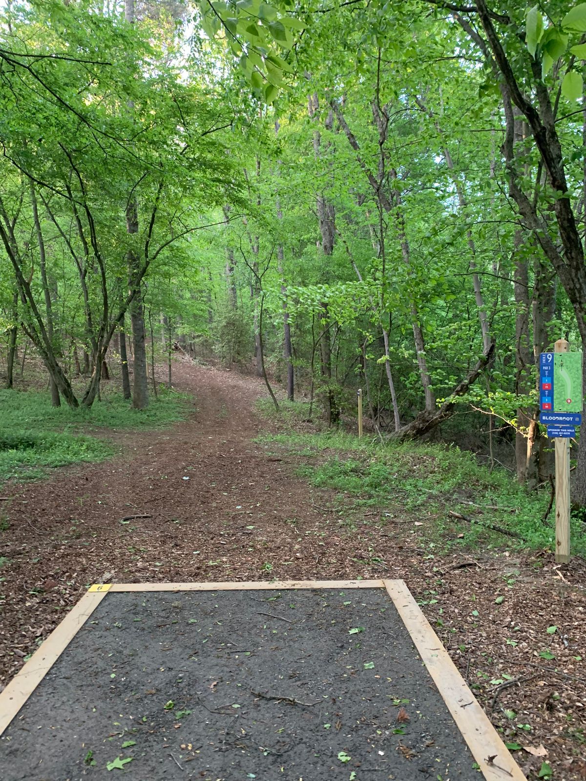 Tee Box Hole #9