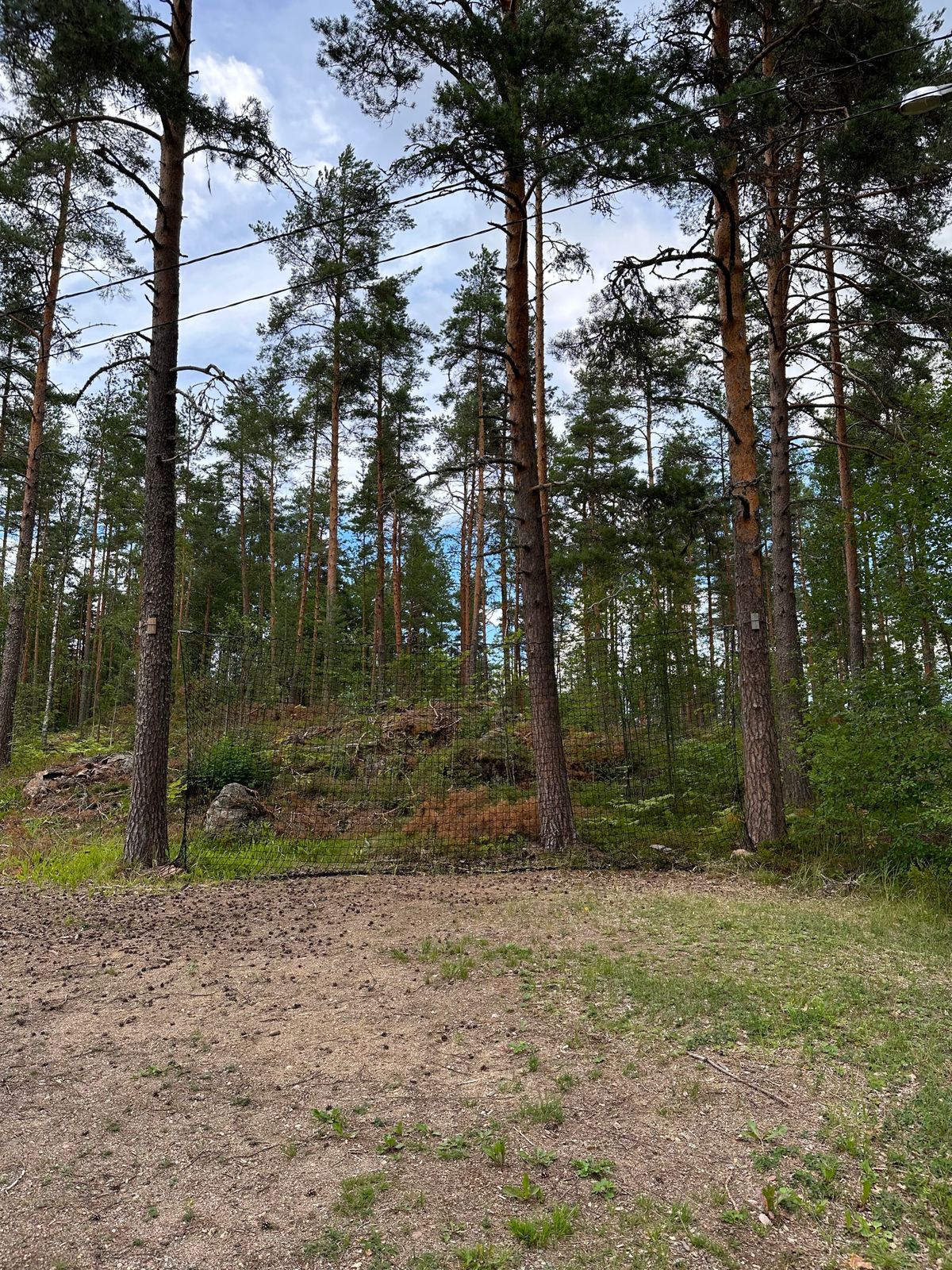 Heittoverkko