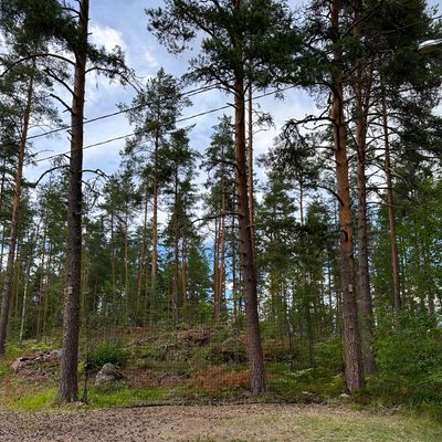 Heittoverkko