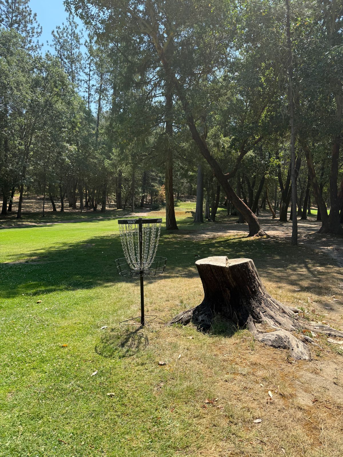 New hole 13